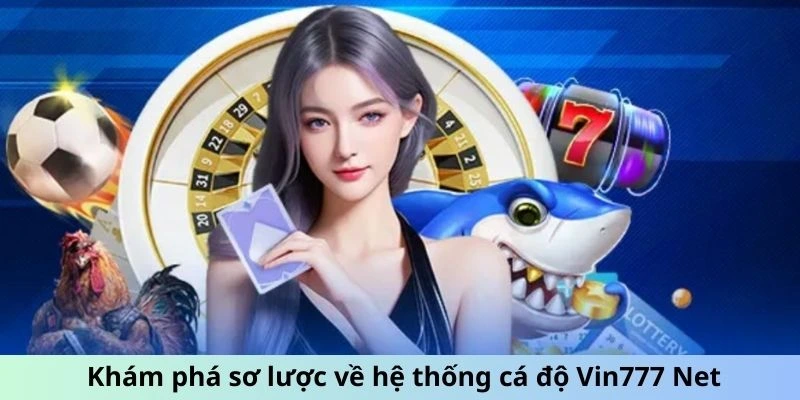 Khám phá sơ lược về hệ thống cá độ Vin777 net