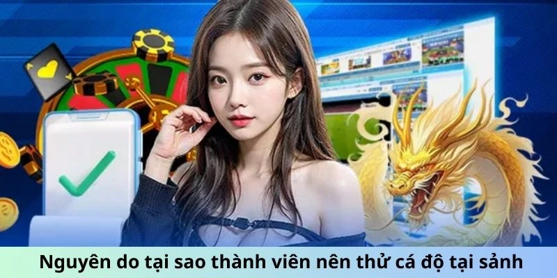 Nguyên do tại sao thành viên nên thử cá độ tại sảnh